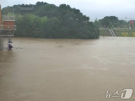 본문 이미지 - 19일 오후 3시10분 기준 남강 의령군 의령읍 정암교 지점 모습(낙동강홍수통제소 홈페이지 캡쳐. 재판매 및 DB금지)