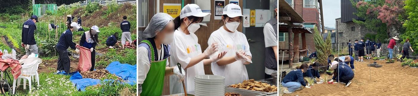 지난 27일 대학RCY 봉사회 소속 ‘촌스러버’들이 충청남도 아산에서 농촌 봉사활동(텃밭 정리 및 작물 수확, 마을 공원 조성)과 정신요양시설 및 지역사회 주민들을 위해 급식 봉사활동을 진행했다.(교촌에프앤비 제공)