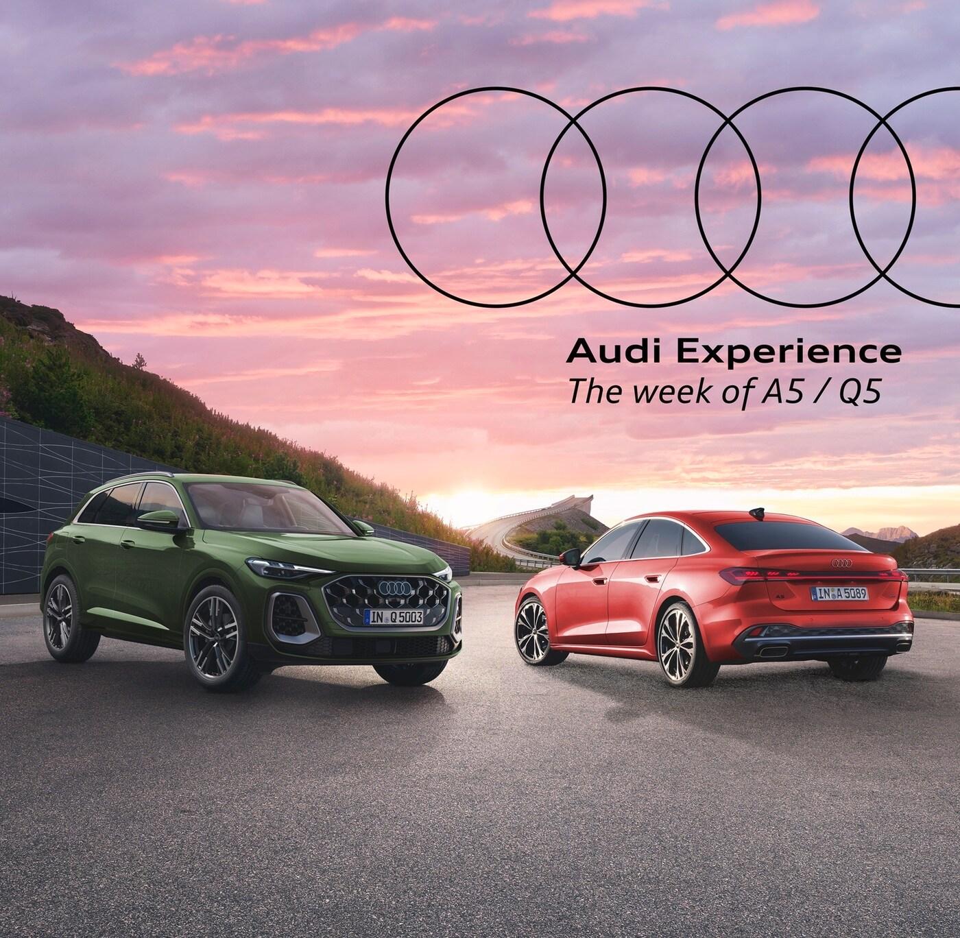 본문 이미지 - (아우디코리아 제공).