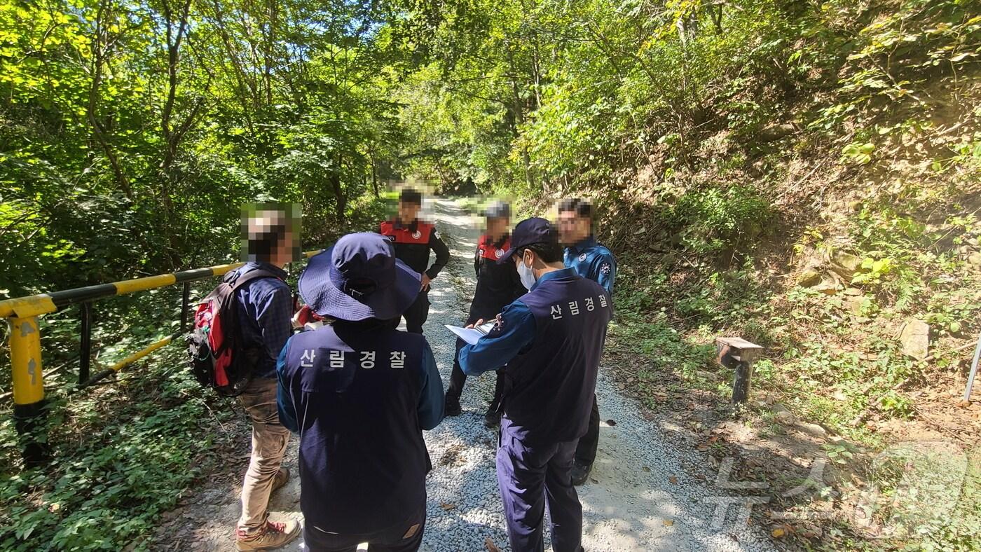 산림오염 및 훼손 행위  집중 단속 장면 (자료사진) /뉴스1 ⓒ News1 
