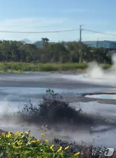 본문 이미지 - &#40;광명일보 갈무리&#41;