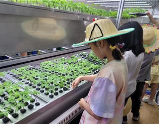 본문 이미지 - 여름철 어린이 자연학교(서울시 제공)