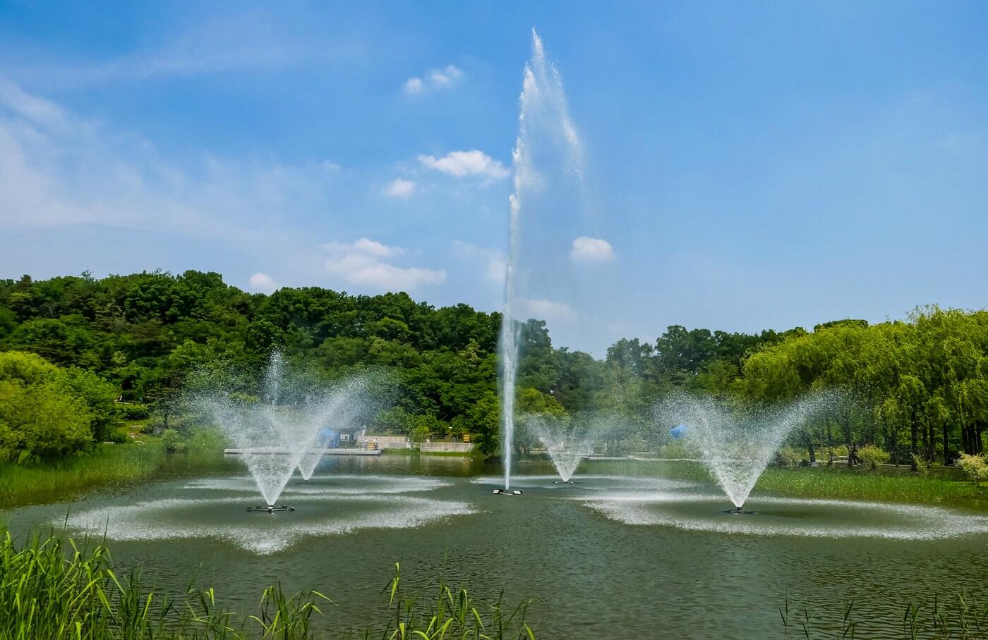 월영지 분수(서울시 제공)