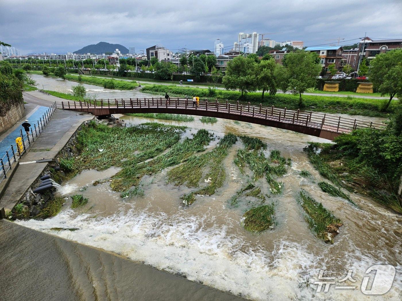 본문 이미지 - 밤사이 많은 비가 내린 가운데 20일 오전 강원 춘천 퇴계동 공지천의 물이 불어나 있다. 2025.7.20 한귀섭 기자