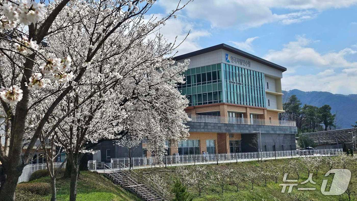  보건복지부 한국자활연수원.(자료사진)/뉴스1