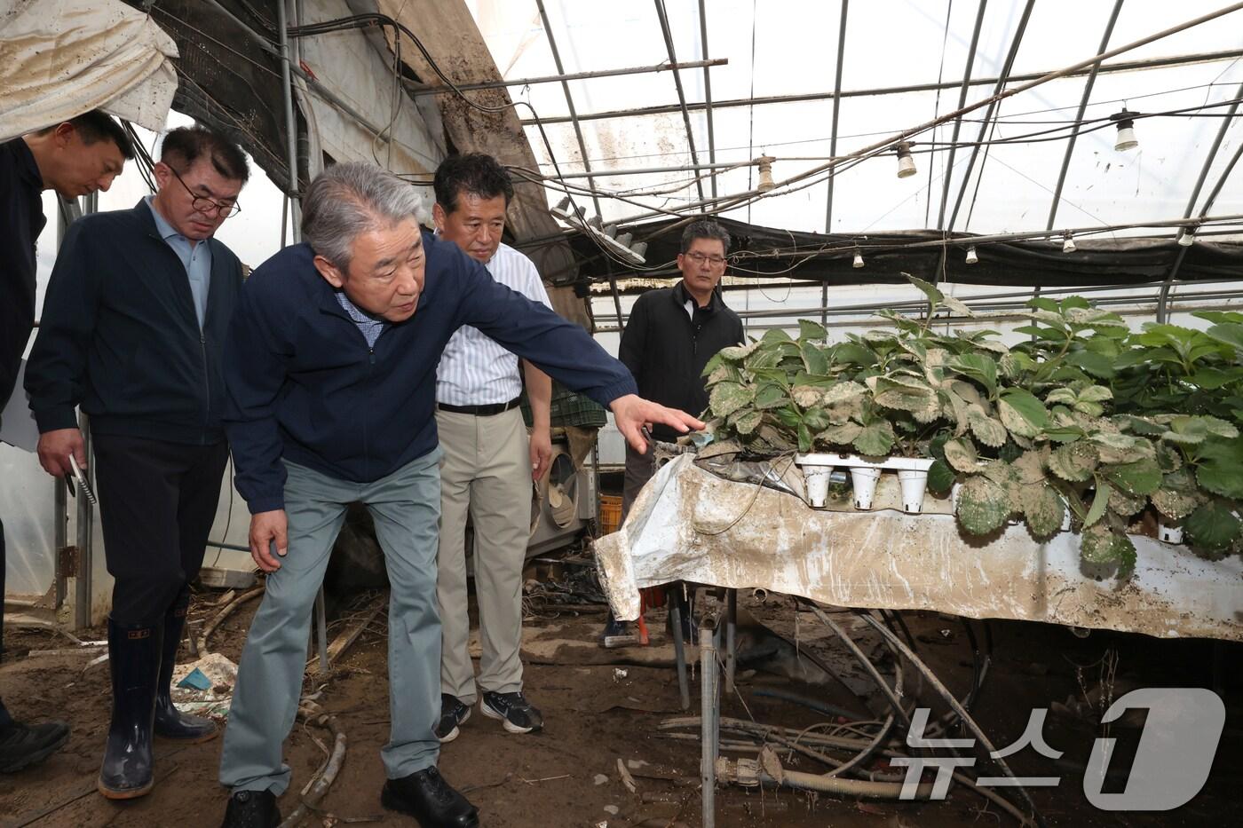 강호동 농협중앙회 회장이 지난달 20일 큰 피해를 입은 충남 예산·아산 및 경남 합천·산청의 피해현장을 방문하여 농업 피해상황을 점검했다. (농협 제공. 재판매 및 DB 금지) 2025.7.20/뉴스1