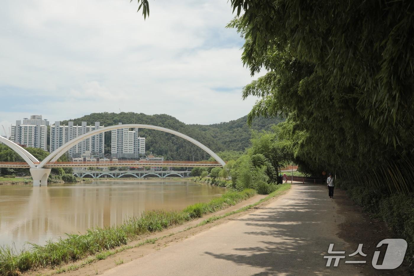 20일 울산 태화강 국가정원에서 산책하는 시민. 전날 내린 집중호우로 인해 강 색깔이 진흙 색을 보이고 있다.2025.7.20./뉴스1 ⓒ News1 김세은 기자