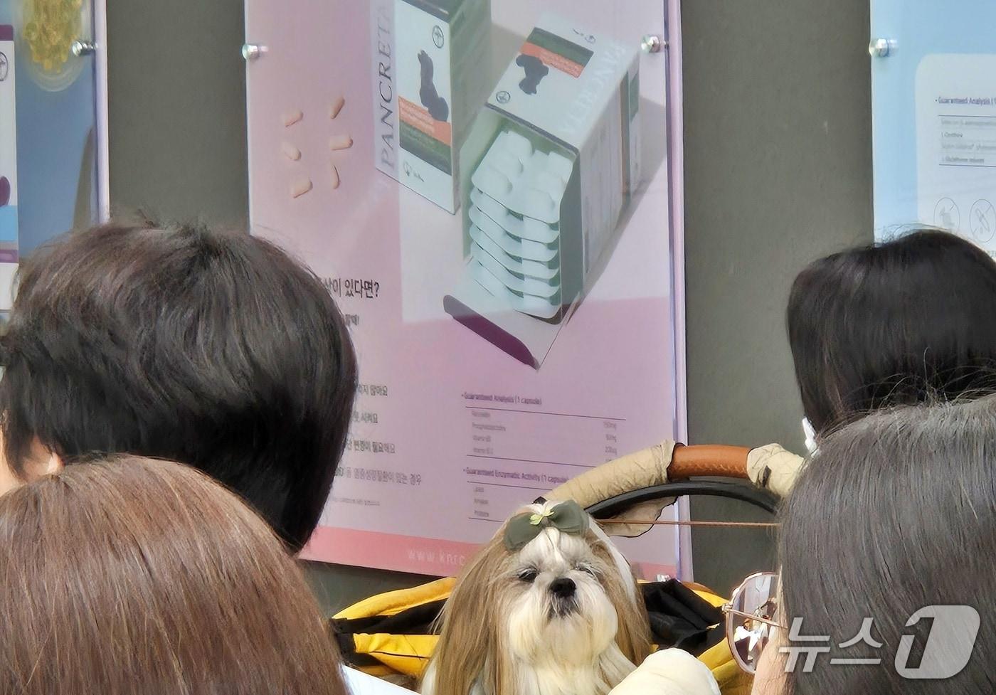한국반려동물영양연구소는 19일 경기 광주 본사에서 보호자 세미나를 진행했다(한국반려동물영양연구소 제공). ⓒ 뉴스1