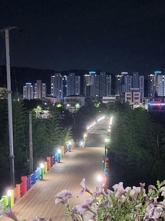 본문 이미지 - 울산 '구 삼호교' 일부 구간이 내려 앉아 있는 모습.(온라인 커뮤니티 갈무리)