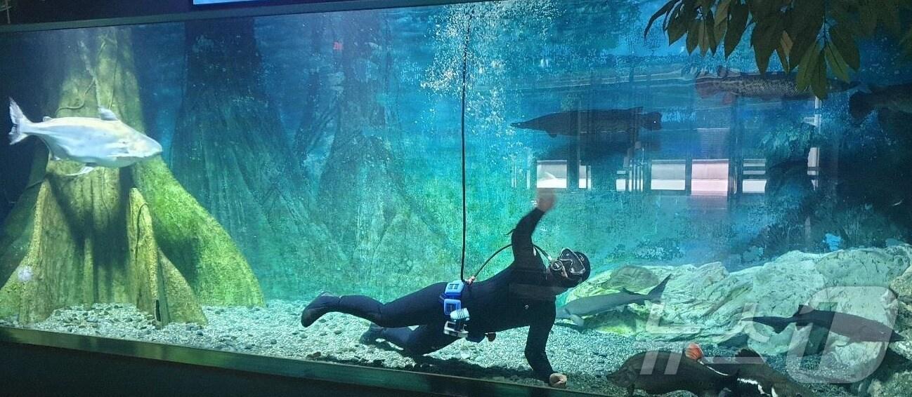 본문 이미지 - 경북도 울진군에 있는 민물고기생태체험관은 여름 성수기를 맞아 7월 20일~8월 20일까지 한 달간 휴관일 없이 상시 개관한다. ⓒ News1 김대벽기자