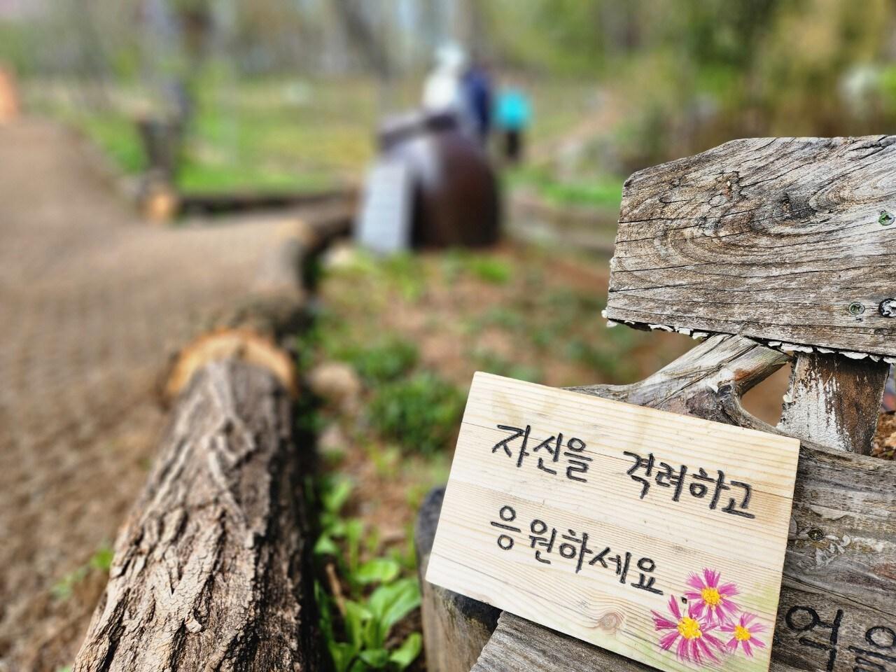 본문 이미지 - (서울시 제공)