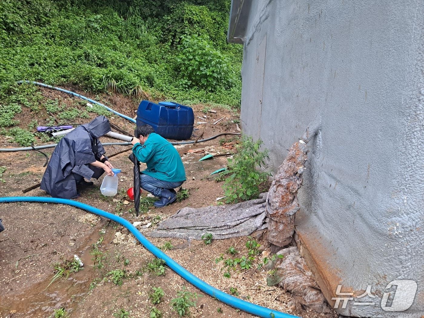 본문 이미지 - 축사 주변 하천수 현장수질측정 모습.&#40;홍천군 제공&#41;./뉴스1