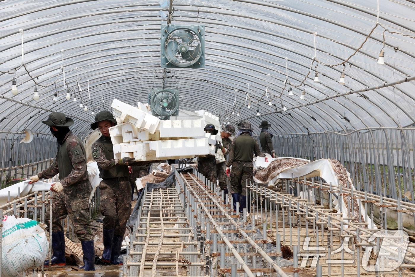 21일 광주 북구 용강동의 한 딸기 집하장에서 군장병들이 집중호우로 피해 본 하우스의 스티로폼을 정리하고 있다. 2025.7.21/뉴스1 ⓒ News1 박지현 기자
