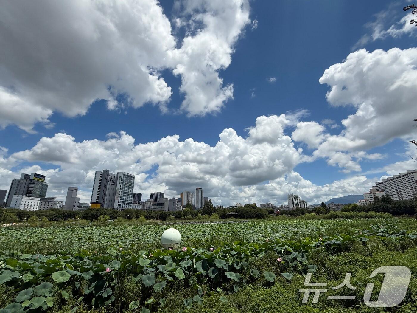 본문 이미지 - 폭우가 그친 21일 광주 서구 운천저수지 위로 파란 하늘과 흰구름이 펼쳐져 있다. 2025.7.21/뉴스1 ⓒ News1 김태성 기자