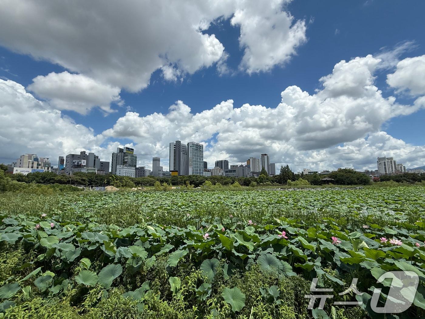 본문 이미지 - 폭우가 그친 21일 광주 서구 운천저수지 위로 파란 하늘과 흰구름이 펼쳐져 있다. 2025.7.21/뉴스1 ⓒ News1 김태성 기자