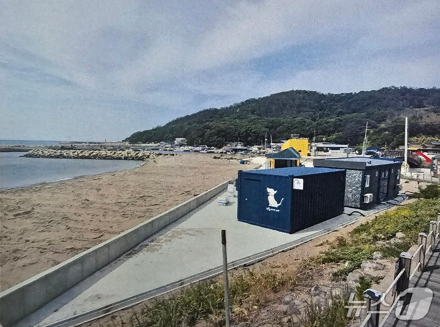 본문 이미지 - 포항시 동해면 흥환리해수욕장에 애완견동반해수욕장이 오는 28일 개장한다. 사진은 애완견 샤워장 모습. (포항시 제공, 재판매 및 DB금지) 2025.7.21/뉴스1 