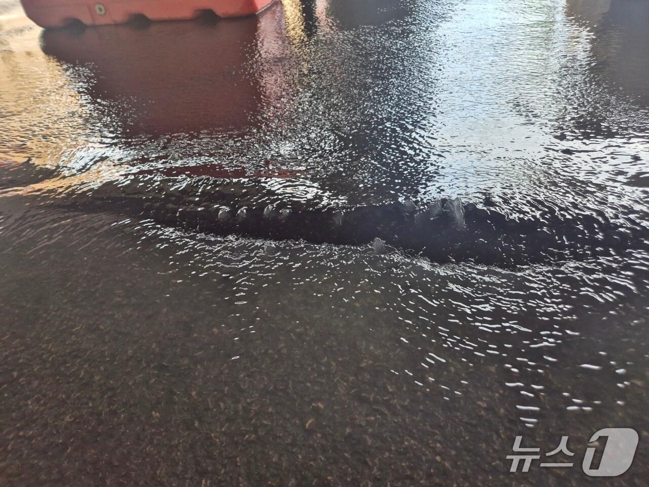 본문 이미지 - 21일 부산 사상구 새벽시장 앞 교차로 사고 현장.&#40;사상구 제공. 재판매 및 DB 금지&#41;