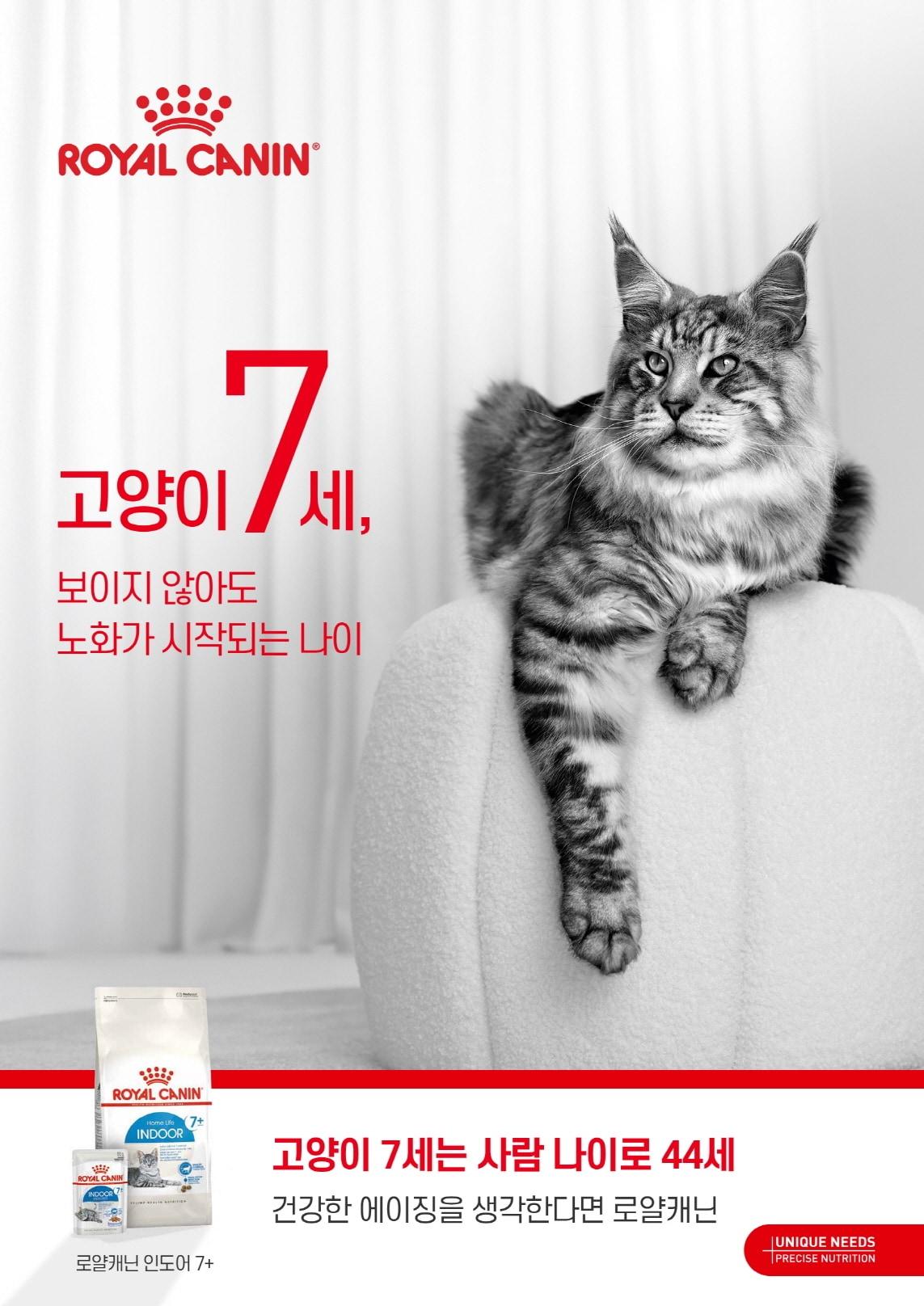 본문 이미지 - 글로벌 펫푸드 브랜드 로얄캐닌코리아가 반려묘의 생애 주기 별 건강 관리의 중요성을 알리는 '7세 이상 반려묘 노화 관리 캠페인'을 펼친다(로얄캐닌코리아 제공). ⓒ 뉴스1