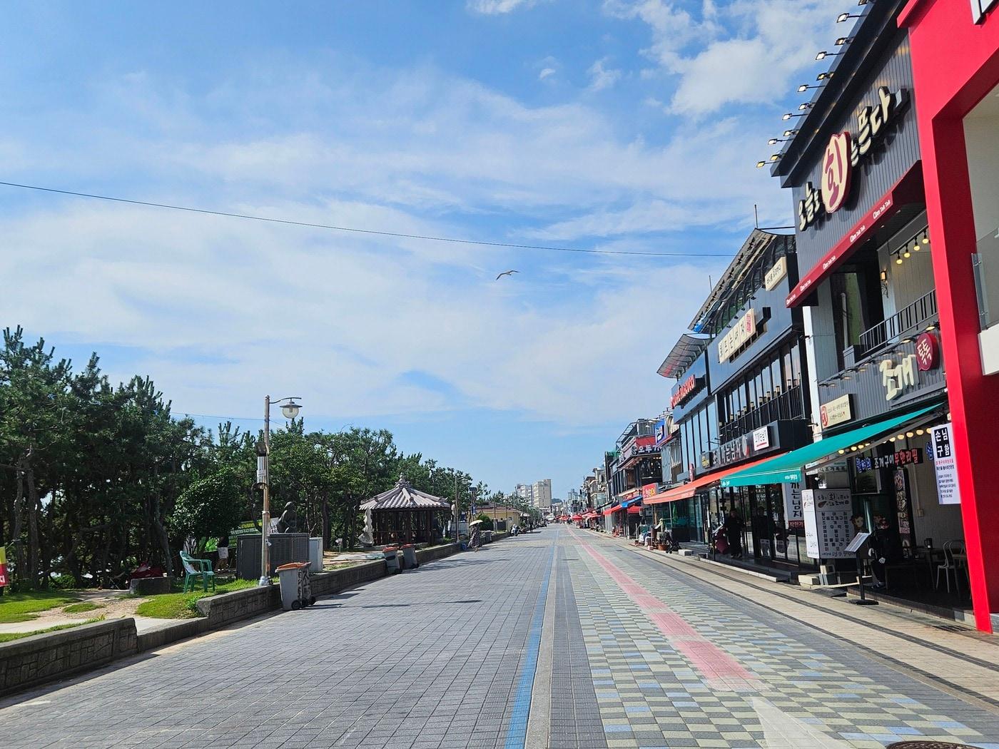 본문 이미지 - 대천해수욕장 인근 광장 사이 도로 모습.(보령시 제공. 재판매 및 DB금지)/뉴스1 