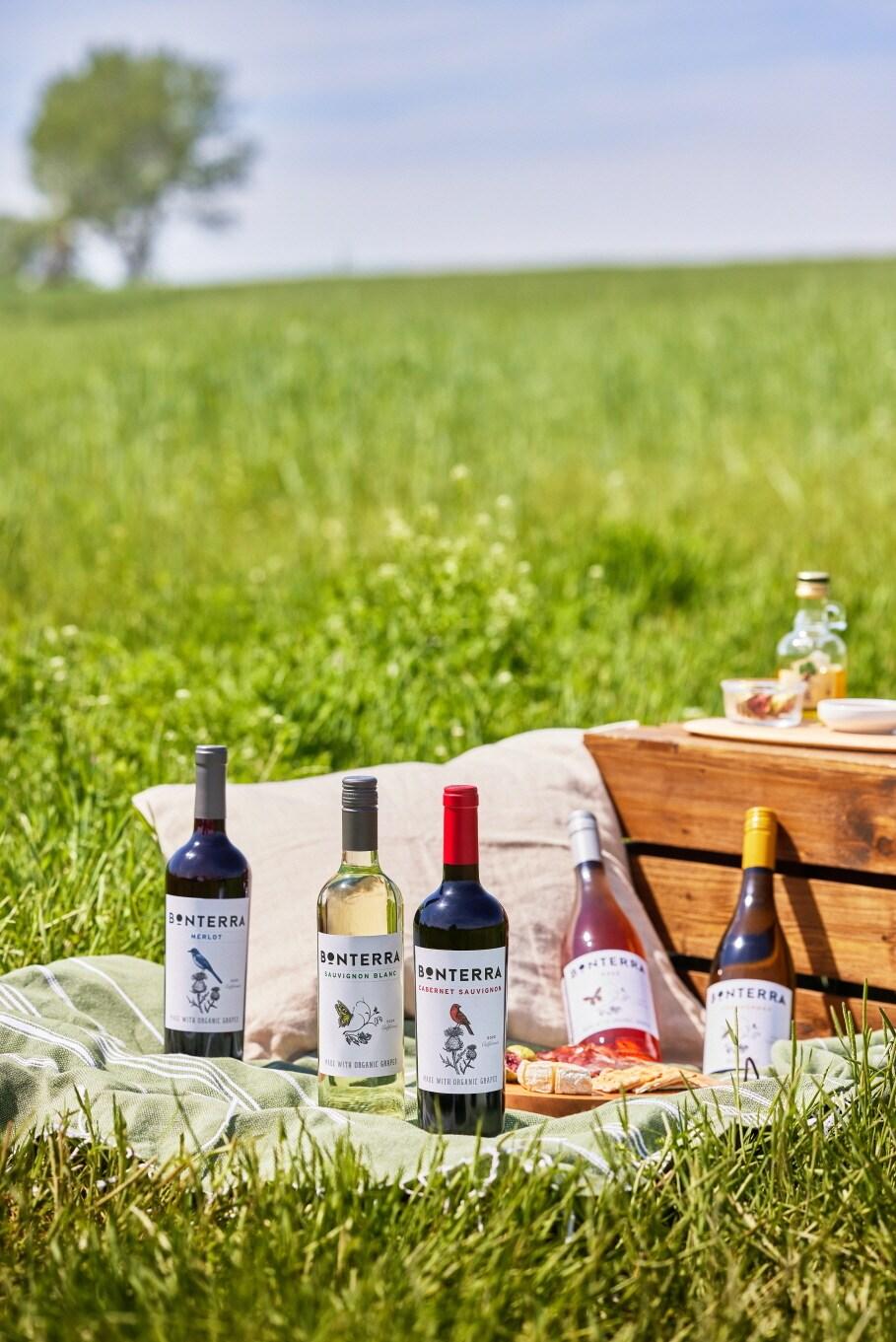 본문 이미지 - &#40;아영FBC 제공&#41;