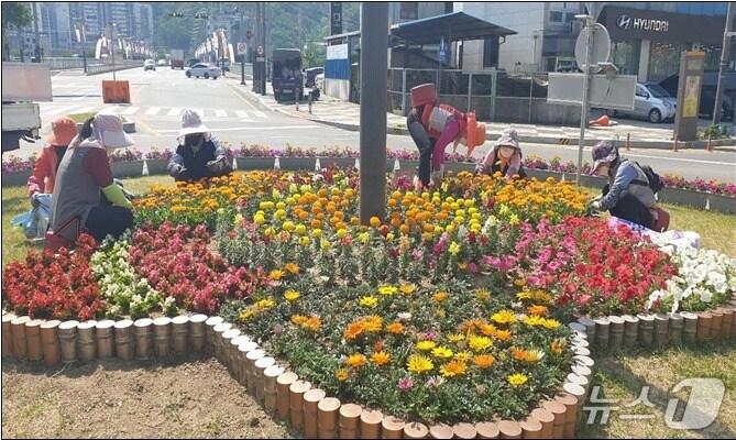 본문 이미지 - 홍천군 꽃길.(홍천군 제공. 재판매 및 DB금지)/뉴스1