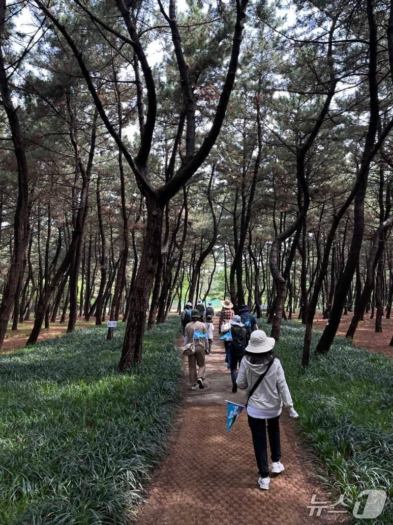 본문 이미지 - '서해랑길 함께 걸어요’ 프로그램 서해랑길 56~58코스 모습 (서천군 제공. 재판매 및 DB금지)2025.7.22/뉴스1