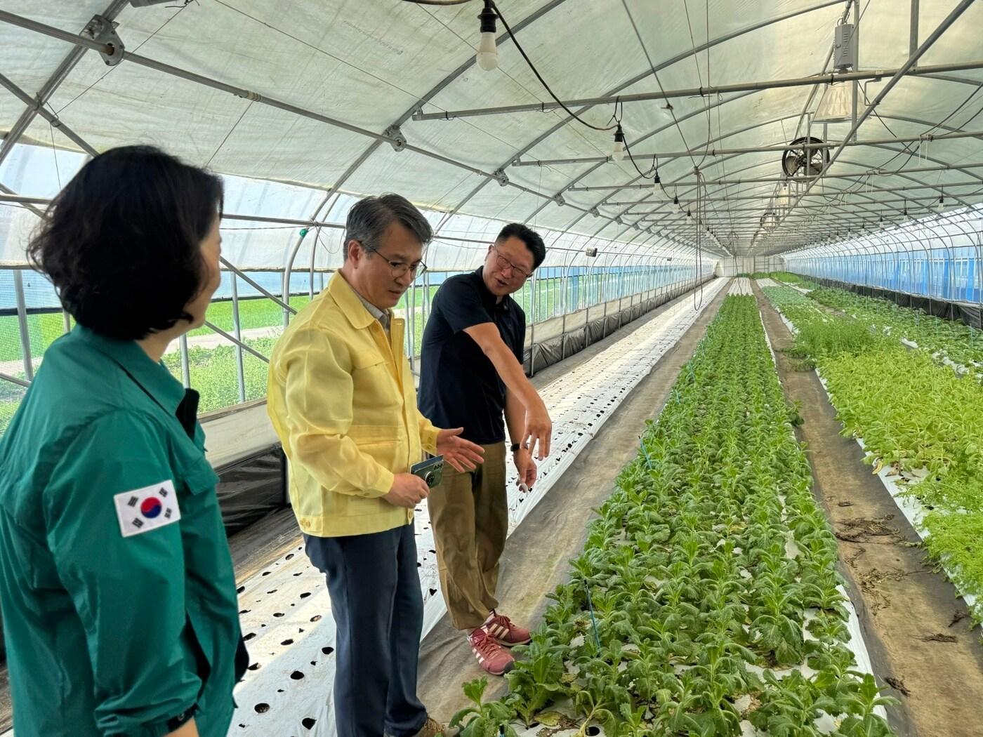 본문 이미지 - 서효원 농촌진흥청 차장이 21일 온열질환 예방 관리 상황 점검을 하고 있다. &#40;농촌진흥청 제공&#41; 2025.07.22 /뉴스1