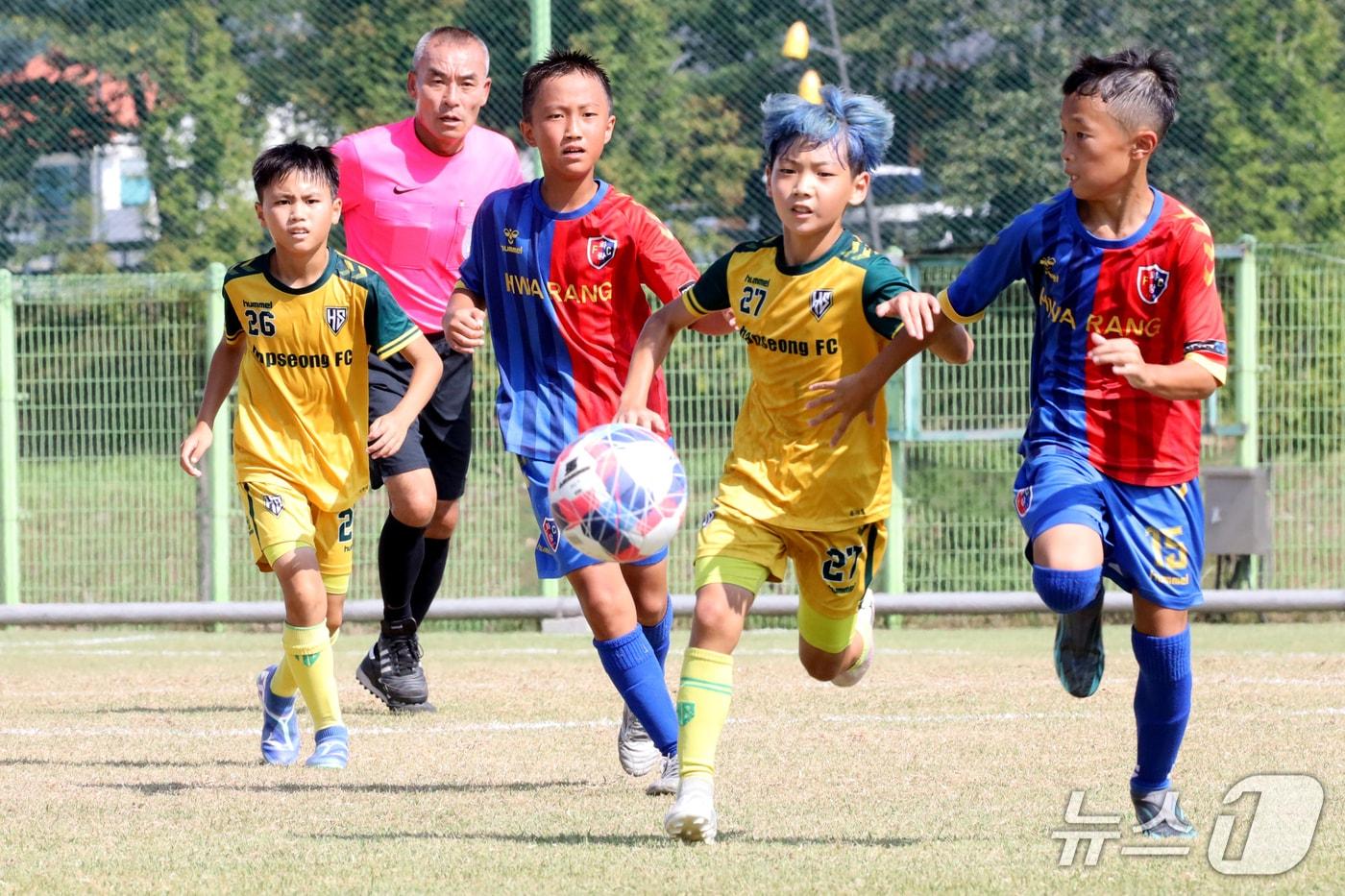  국내 최대 유소년 축구대회인 '2025 화랑대기 전국 유소년 축구대회'가 다음달 5일 경주시 알천구장에서 개막한다. 사진은 지난해 대회 모습. (뉴스1 자료, 재판매 및 DB금지) 2025.7.22/뉴스1