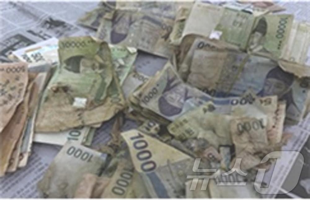 본문 이미지 - 훼손된 지폐.(한국은행 제공, 재배포 및 DB 금지) /뉴스1