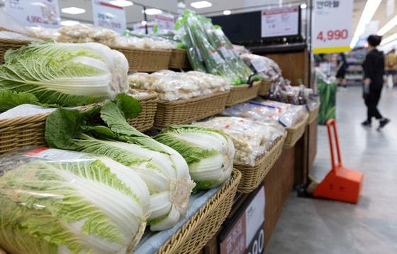 본문 이미지 - 생산자물가가 석 달 만에 상승했다. 주로 농림수산품이 올라 최근 폭우·폭염 영향과 더불어 밥상물가를 밀어올릴 가능성이 우려된다. 22일 한국은행에 따르면 6월 생산자물가지수는 119.77로 전월&#40;119.64&#41; 대비 0.1% 상승했다. 구체적으로 배추&#40;31.1%&#41;, 돼지고기&#40;9.5%&#41;, 달걀&#40;4.4%&#41;, 쌀&#40;3.4%&#41; 등의 품목이 높은 상승률을 기록했다. 22일 서울 시내의 한 대형마트에 배추가 진열돼 있다. 2025.7.22/뉴스1 ⓒ News1 이승배 기자