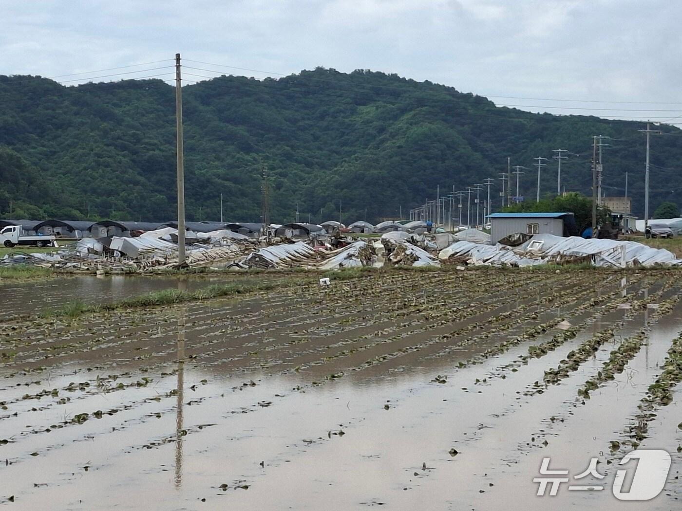 본문 이미지 - 22일 산청군 신안면 신기마을의 비닐하우스가 19일 내릴 폭우로 침수돼 있다(독자 제공).