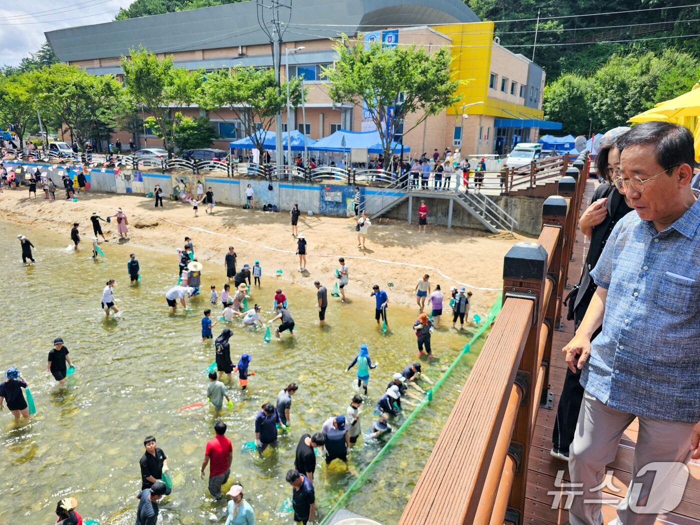 본문 이미지 - 지난해 매화골 Hot Summer Festival(단양군 제공. 재판매 및 DB금지)/뉴스1 