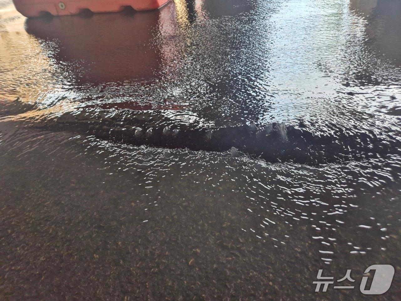 본문 이미지 - 21일 부산 사상구 새벽시장 앞 교차로 사고 현장.&#40;사상구 제공. 재판매 및 DB 금지&#41;