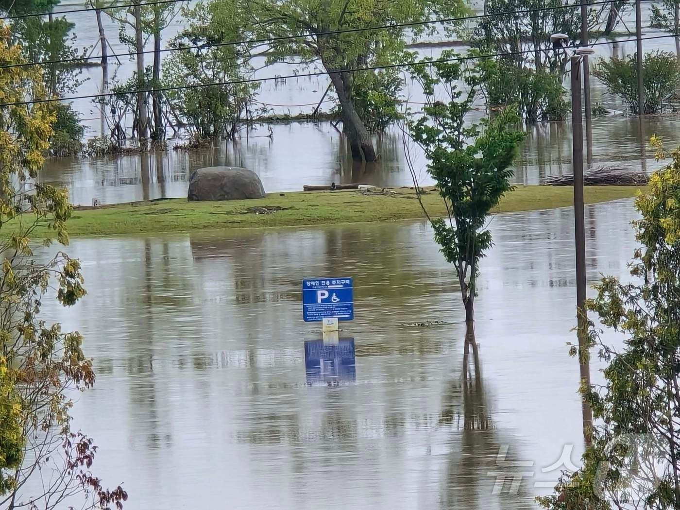 본문 이미지 - 물에 잠긴 영산강 저류지.(이재태 전남도의원 제공, 재배포 및 DB 금지)/뉴스1