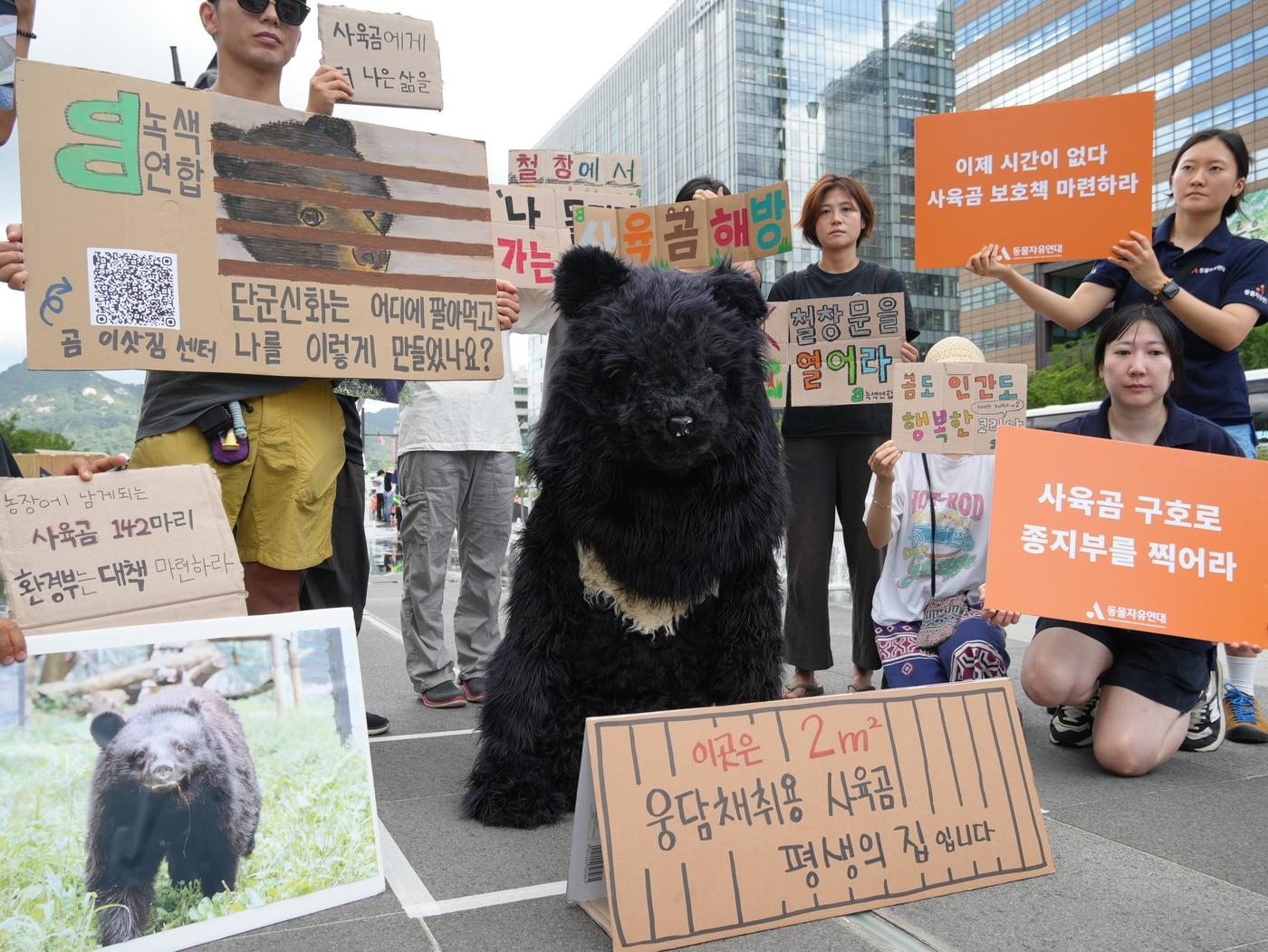 본문 이미지 - 곰 보금자리 프로젝트, 녹색연합, 동물자유연대는 22일 서울 광화문 광장에서 김성환 신임 환경부 장관을 대상으로 사육곰 보호 대책 마련을 촉구하는 기자회견을 열었다(동물자유연대 제공). ⓒ 뉴스1