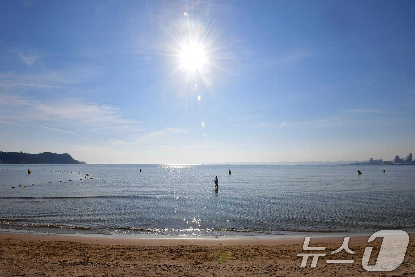 23일 대전과 충남 대부분 지역에 폭염경보가 발효됐다. 2025.7.23/뉴스1 ⓒ News1 최창호 기자