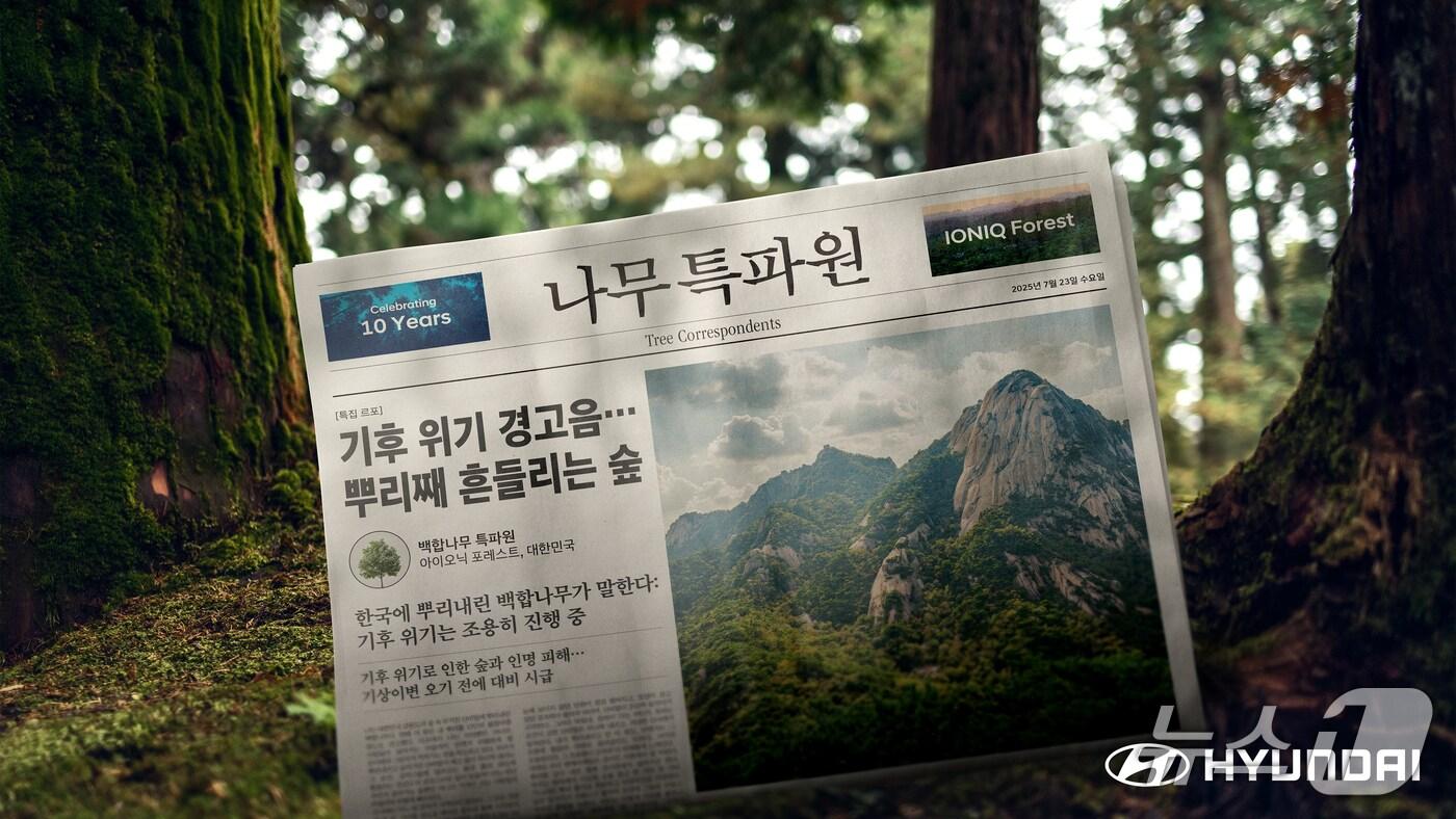 현대자동차, 칸 광고제 3관왕 주인공 AI기반 CSR 홍보 캠페인 '나무 특파원' 공개 (현대자동차 제공)