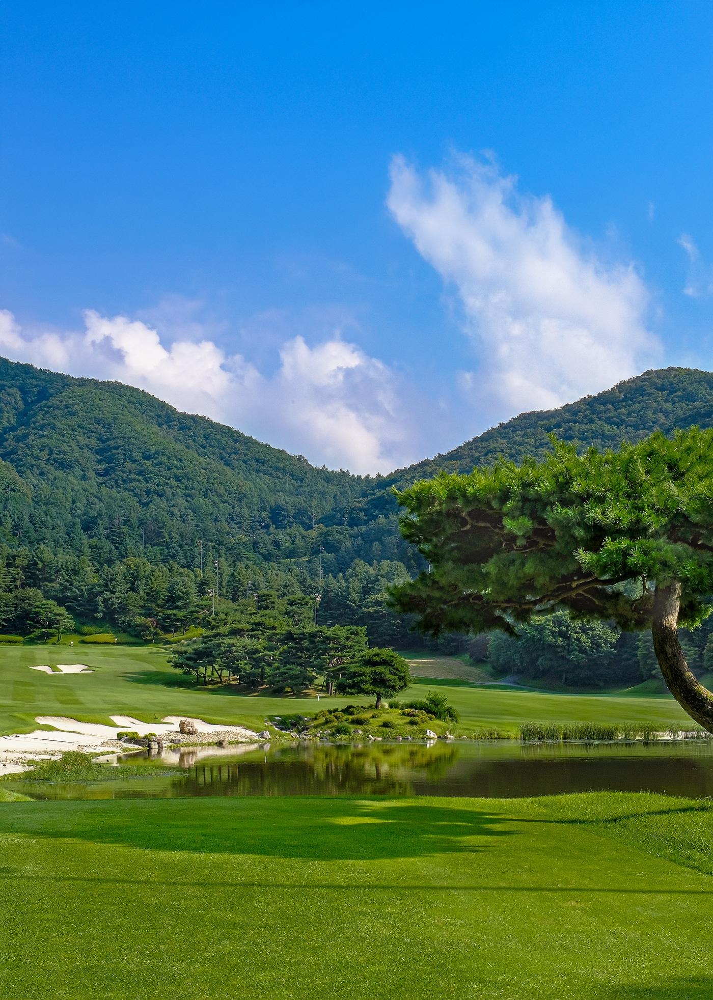 본문 이미지 - 사진=더 시에나 그룹 제공