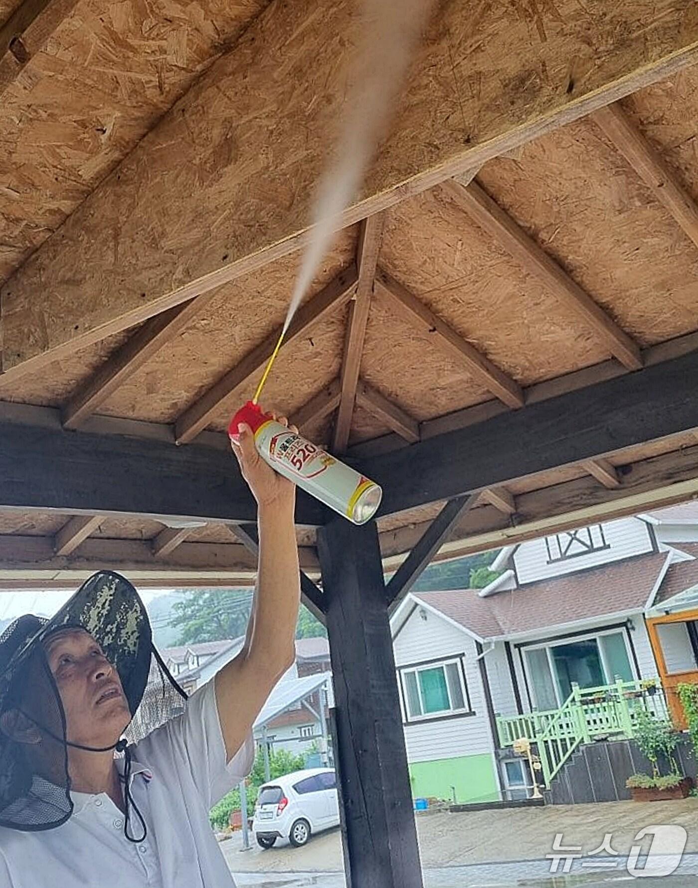 본문 이미지 - 충북 괴산군 청천면 송면리 이영봉 이장이 마을 주민의 집에서 벌집을 제거하고 있다.(괴산군 제공, 재판매 및 DB금지)/뉴스1