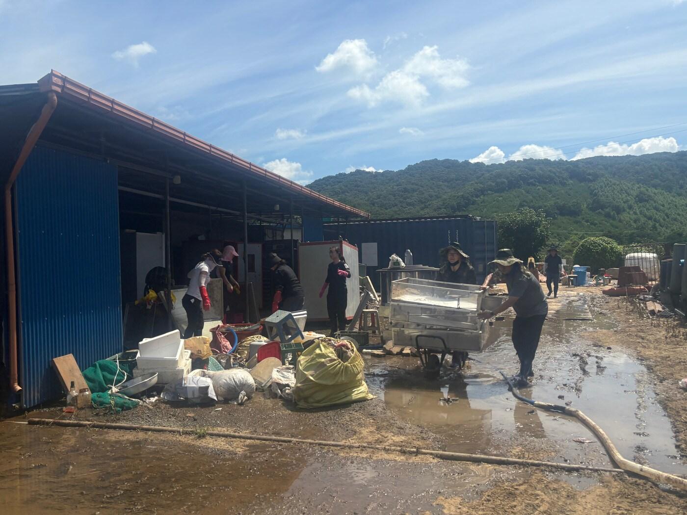 본문 이미지 - 충남도 어촌산업과 직원들이 침수 피해를 본 청양 내수면 양식 어가를 찾아 긴급 복구에 나서고 있다.(충남도 제공. 재판매 및 DB금지)/뉴스1