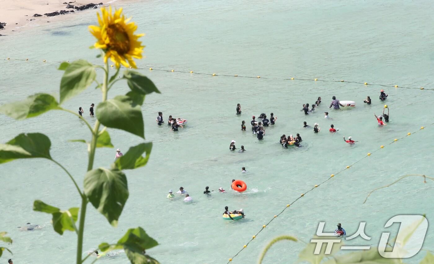 제주도 북부·남부·동부·서부·북부중산간에 폭염주의보가 내려진 23일 오전 제주시 조천읍 함덕해수욕장에서 피서객들이 더위를 쫓고 있다. 2025.7.23/뉴스1 ⓒ News1 오현지 기자