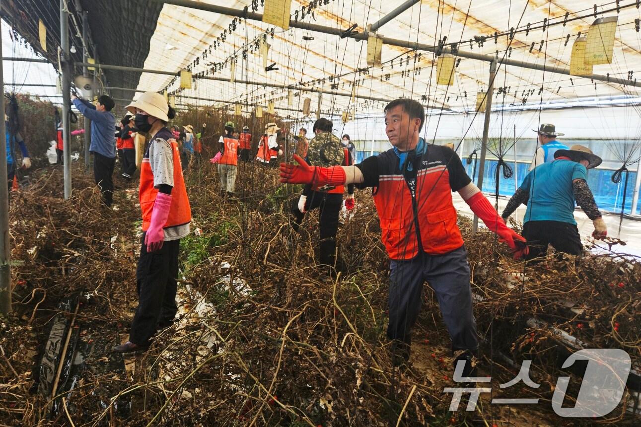 본문 이미지 - 광주시와 &#39;달빛동맹&#39;을 맺은 대구시 공무원과 자원봉사자 90여 명이 집중호우로 피해를 입은 광주 수해복구 현장에서 지원 활동을 펼치고 있다.&#40;광주시 제공. 재판매 및 DB 금지&#41; 2025.7.23/뉴스1