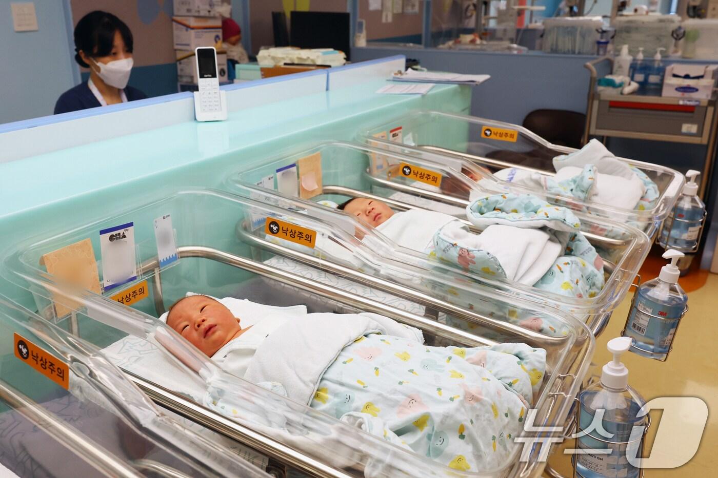 경기 고양시 일산차병원 신생아실에서 아기들이 잠을 자고 있다.  ⓒ News1 황기선 기자