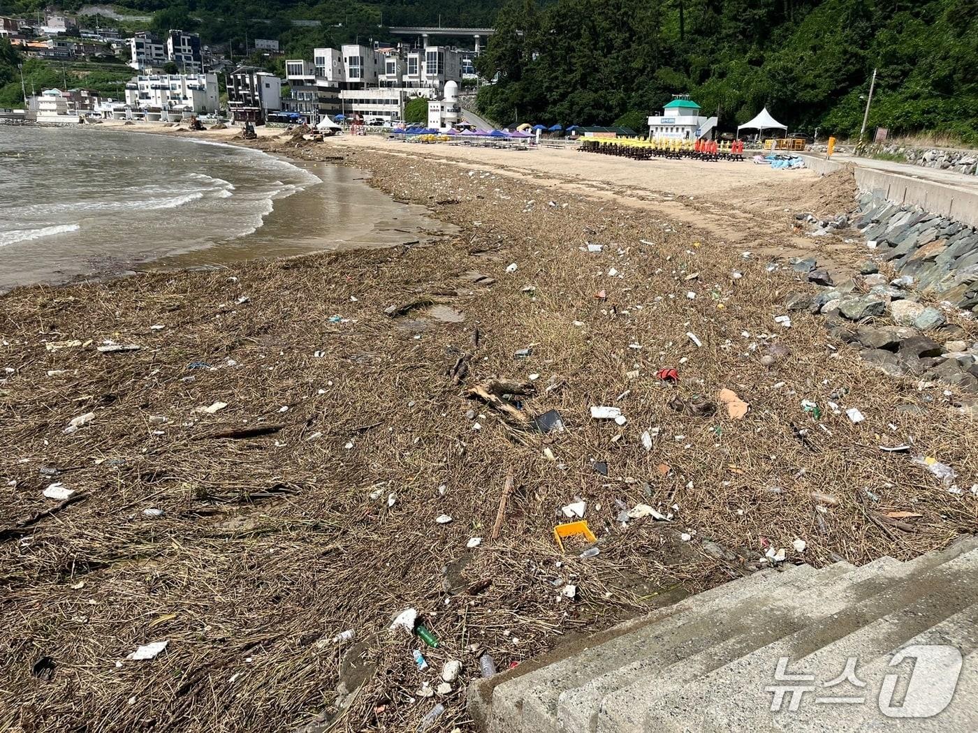 본문 이미지 - 해안변에 쌓인 해양쓰레기.&#40;거제시 제공. 재판매 및 DB금지&#41;