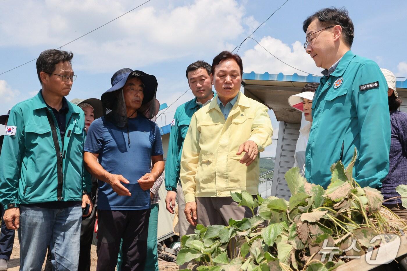 박완수 경남지사&#40;가운데&#41;가 23일 집중호우로 피해를 입은 하동군 딸기 육모 하우스에서 딸기 모종을 살펴보고 있다.&#40;경남도 제공. 재판매 및 DB금지&#41;