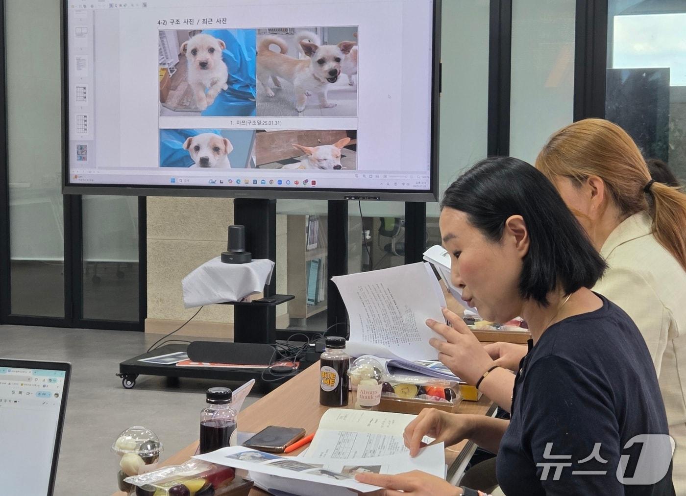 본문 이미지 - 최미금 동물과 함께 행복한 세상 대표가 23일 동물자유연대 사무실에서 풀뿌리단체 입양활성화 지원사업 성과 발표를 하고 있다. ⓒ 뉴스1 한송아 기자