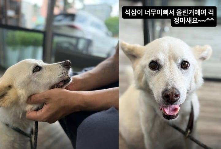 본문 이미지 - (인스타그램 갈무리)