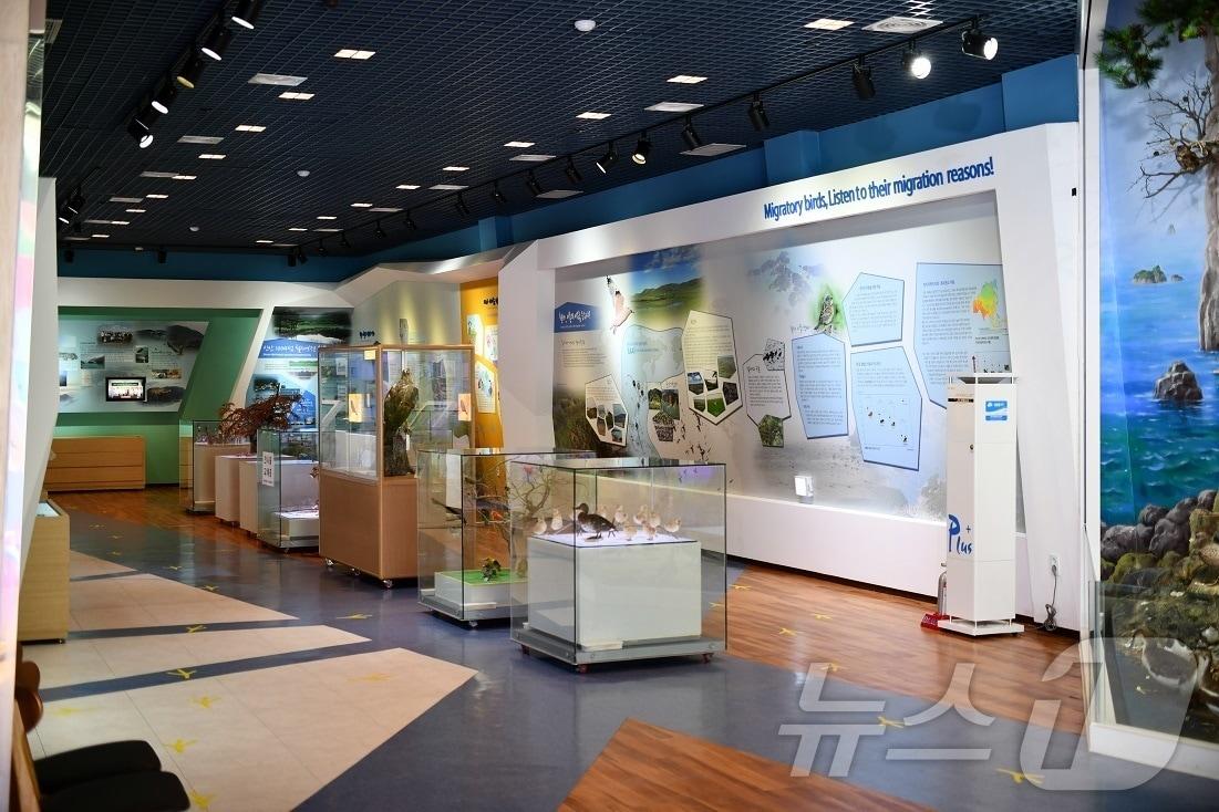 본문 이미지 - 신안철새박물관 내부 전시 공간 &#40;신안군 제공. 재판매 및 DB금지&#41; /뉴스1 