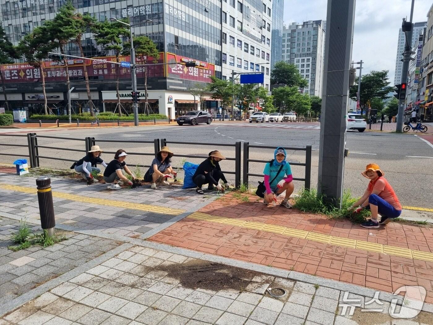 본문 이미지 - 경기 수원시 영통구 광교1동이 23일 통장협의회와 함께 환경정비 활동을 벌이고 있다. (광교1동 제공. 재판매 및 DB 금지) 2025.7.23/뉴스1