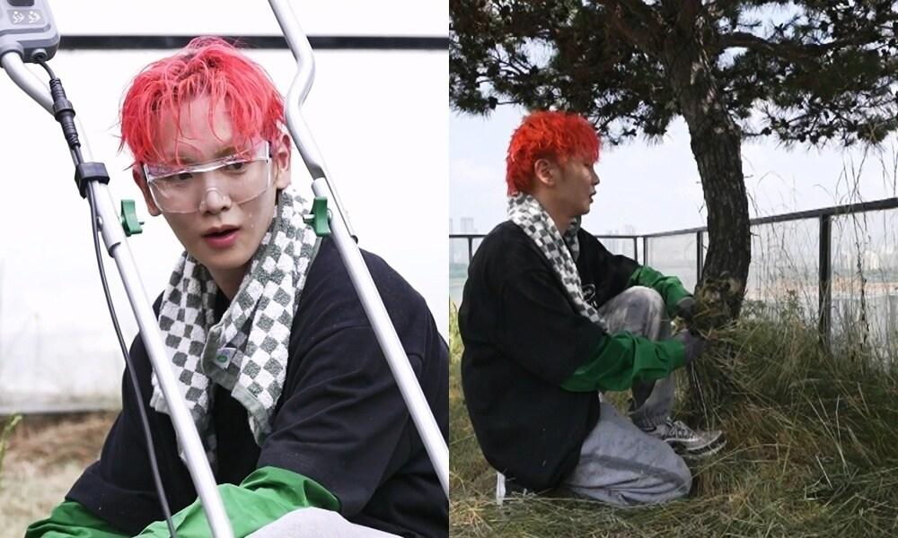 본문 이미지 - MBC